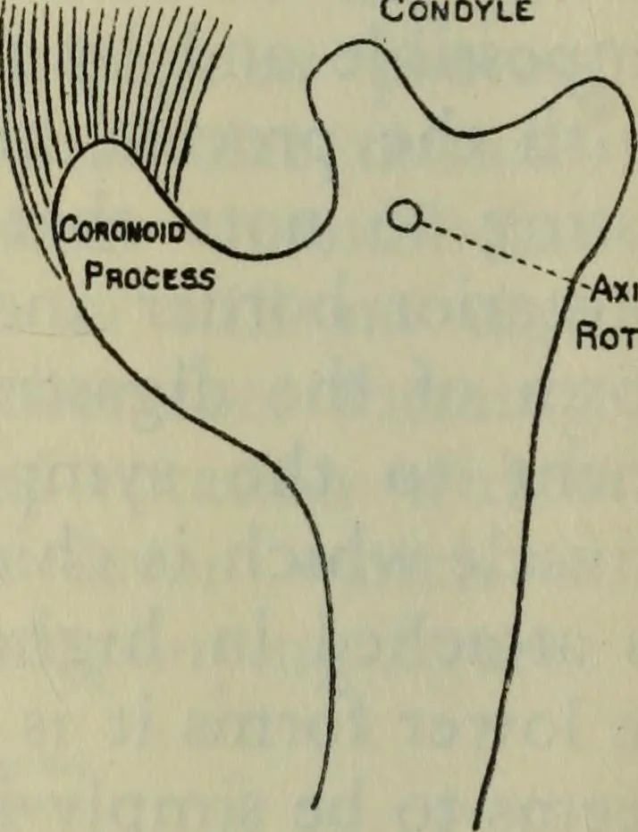 An illustration from Essays and studies presented to William Ridgeway on his sixtieth birthday, 6 August 1913, 1914, leaf 508