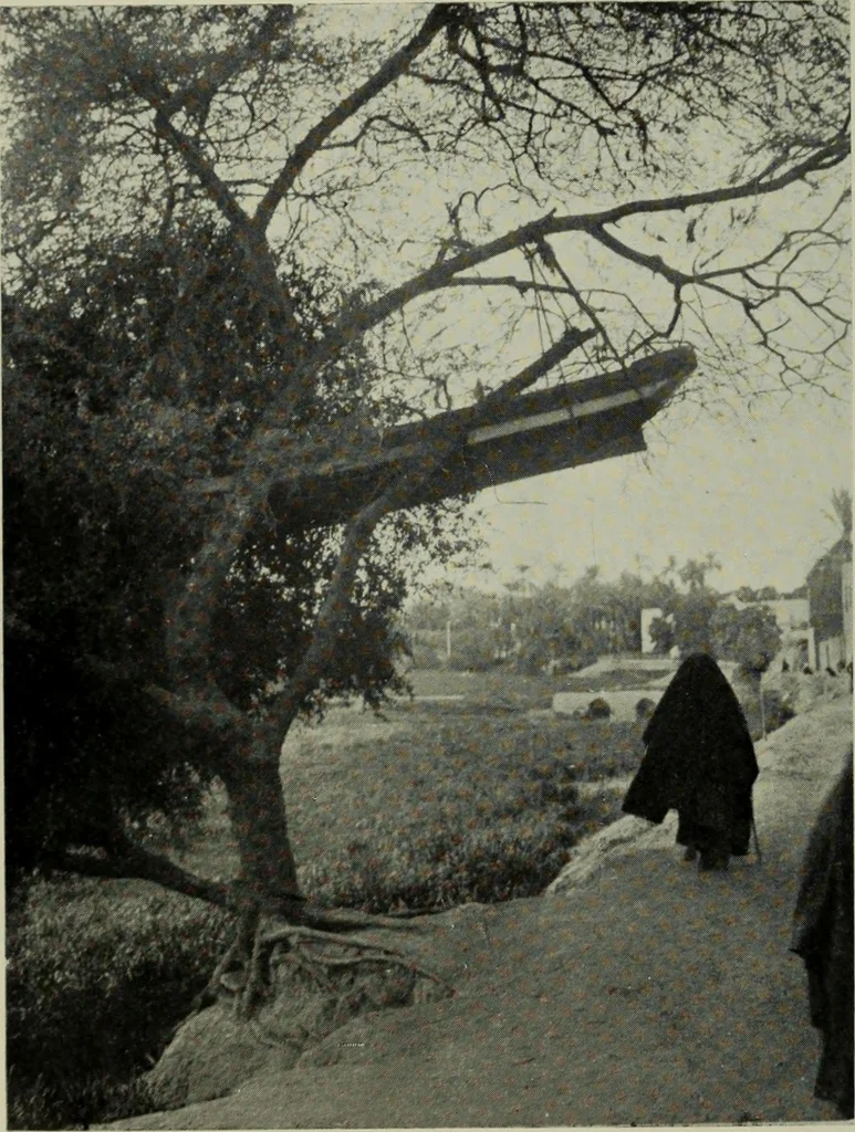 An illustration from Essays and studies presented to William Ridgeway on his sixtieth birthday, 6 August 1913, 1914, leaf 518