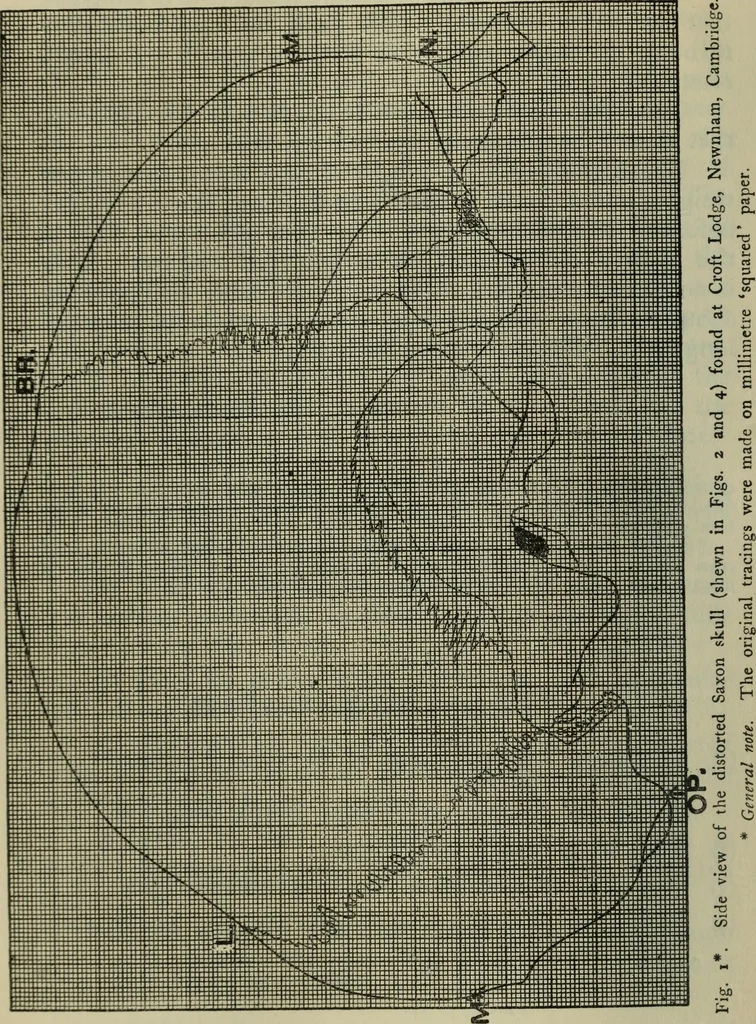 An illustration from Essays and studies presented to William Ridgeway on his sixtieth birthday, 6 August 1913, 1914, leaf 536