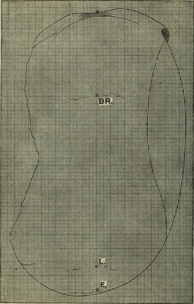 An illustration from Essays and studies presented to William Ridgeway on his sixtieth birthday, 6 August 1913, 1914, leaf 540