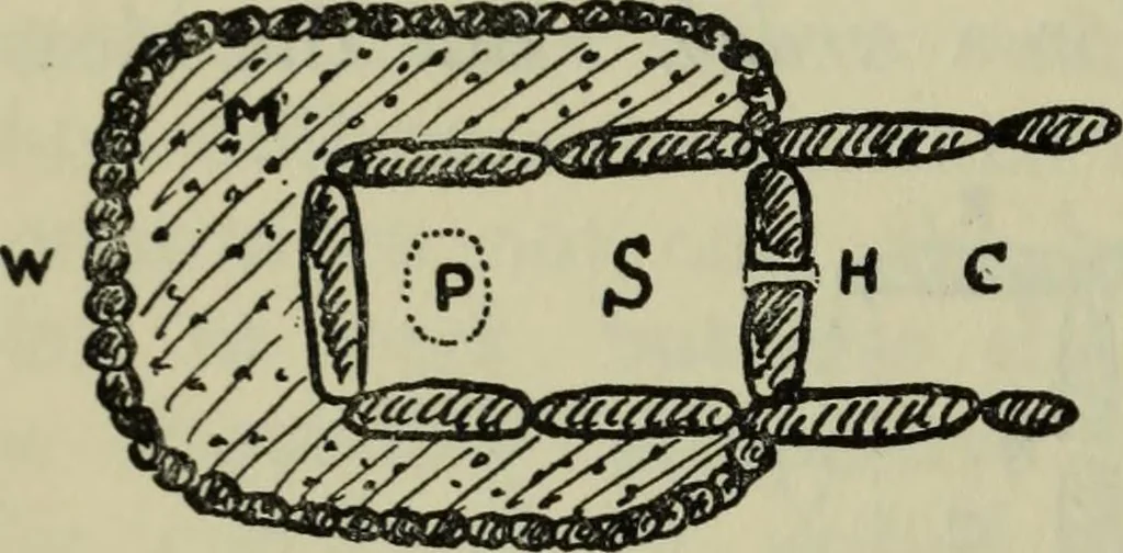 An illustration from Essays and studies presented to William Ridgeway on his sixtieth birthday, 6 August 1913, 1914, leaf 596