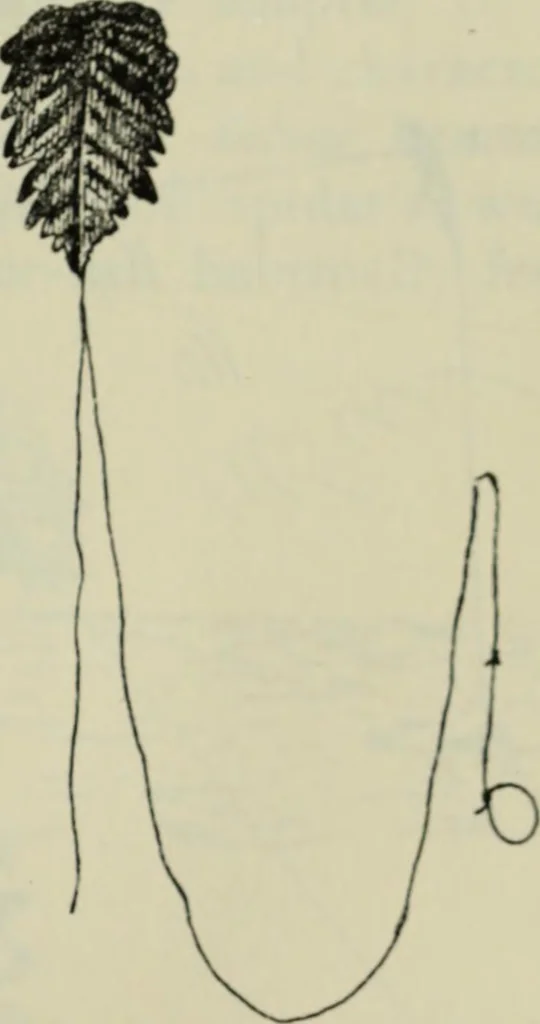 An illustration from Essays and studies presented to William Ridgeway on his sixtieth birthday, 6 August 1913, 1914, leaf 653
