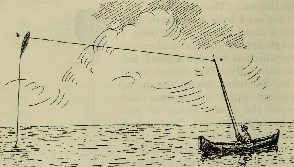 An illustration from Essays and studies presented to William Ridgeway on his sixtieth birthday, 6 August 1913, 1914, leaf 654