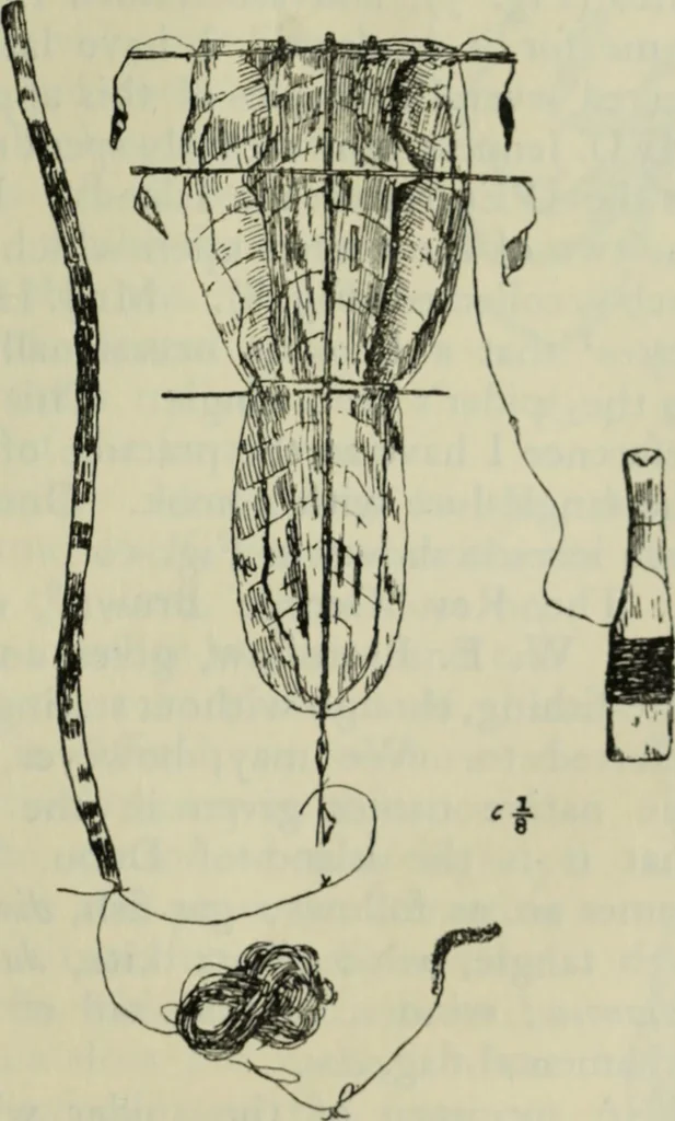An illustration from Essays and studies presented to William Ridgeway on his sixtieth birthday, 6 August 1913, 1914, leaf 657
