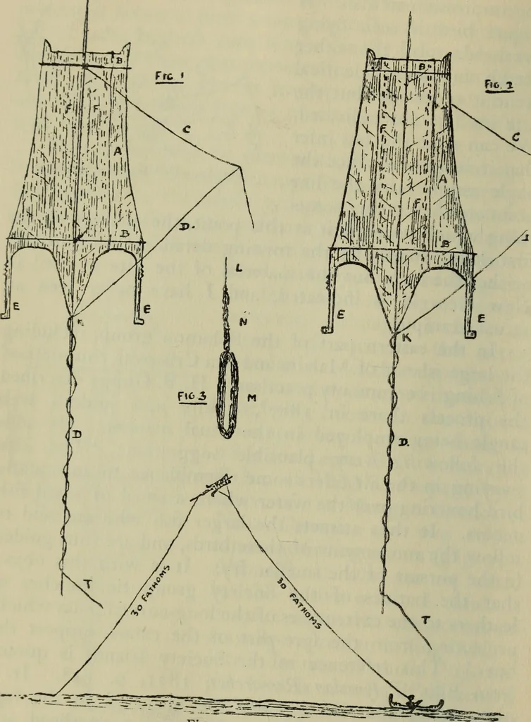 An illustration from Essays and studies presented to William Ridgeway on his sixtieth birthday, 6 August 1913, 1914, leaf 662