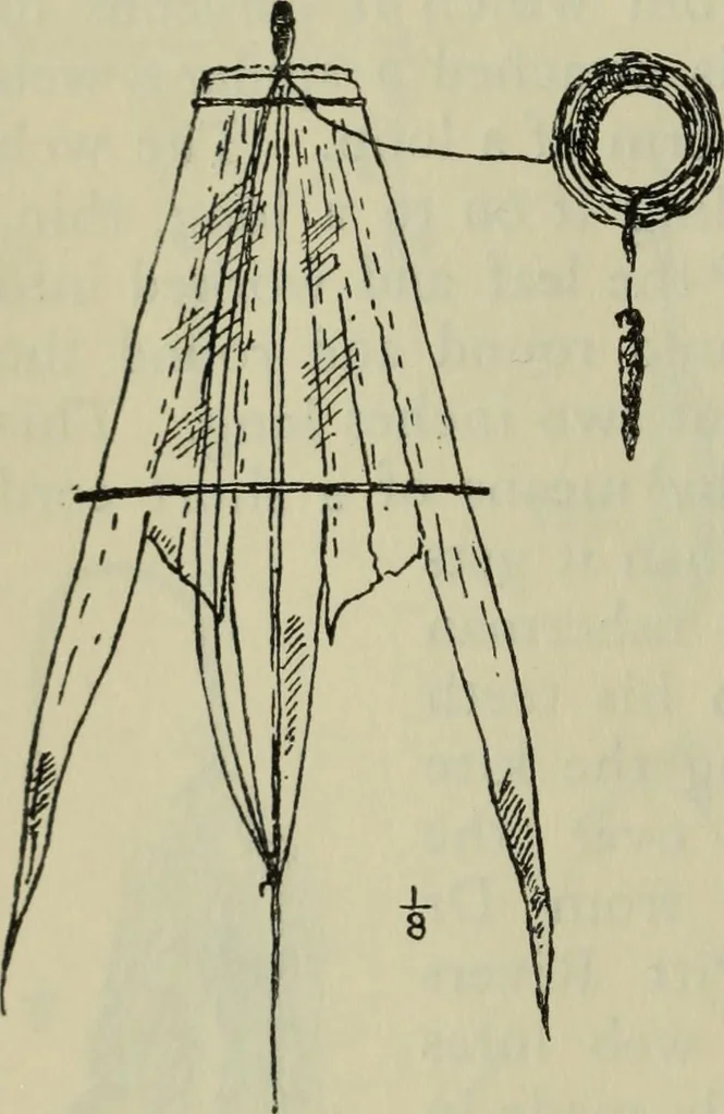 An illustration from Essays and studies presented to William Ridgeway on his sixtieth birthday, 6 August 1913, 1914, leaf 664