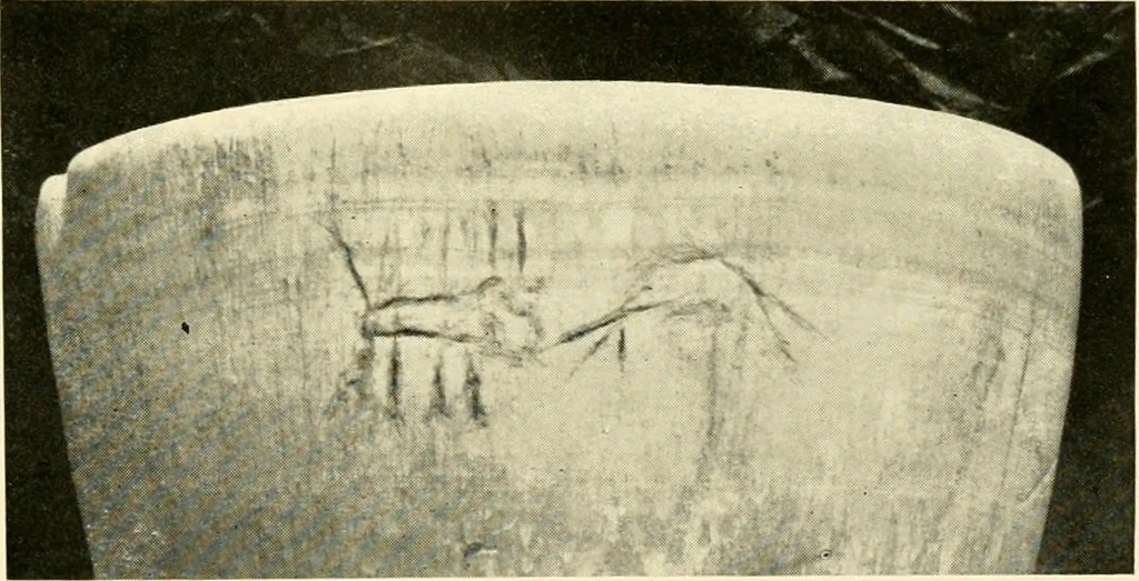 An illustration from Essays and studies presented to William Ridgeway : on his sixtieth birthday, 6 August, 1913, 1913, leaf 313