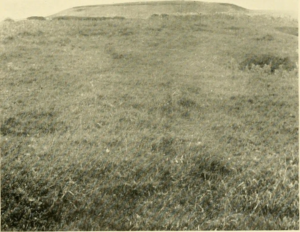 An illustration from Essays and studies presented to William Ridgeway : on his sixtieth birthday, 6 August, 1913, 1913, leaf 387