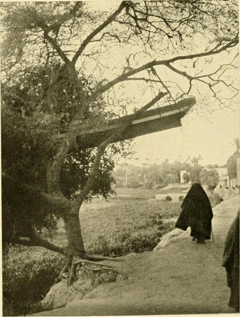 An illustration from Essays and studies presented to William Ridgeway : on his sixtieth birthday, 6 August, 1913, 1913, leaf 514