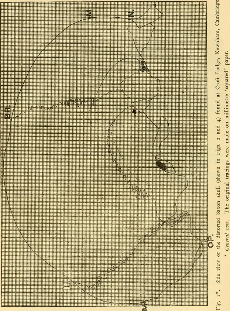 An illustration from Essays and studies presented to William Ridgeway : on his sixtieth birthday, 6 August, 1913, 1913, leaf 532