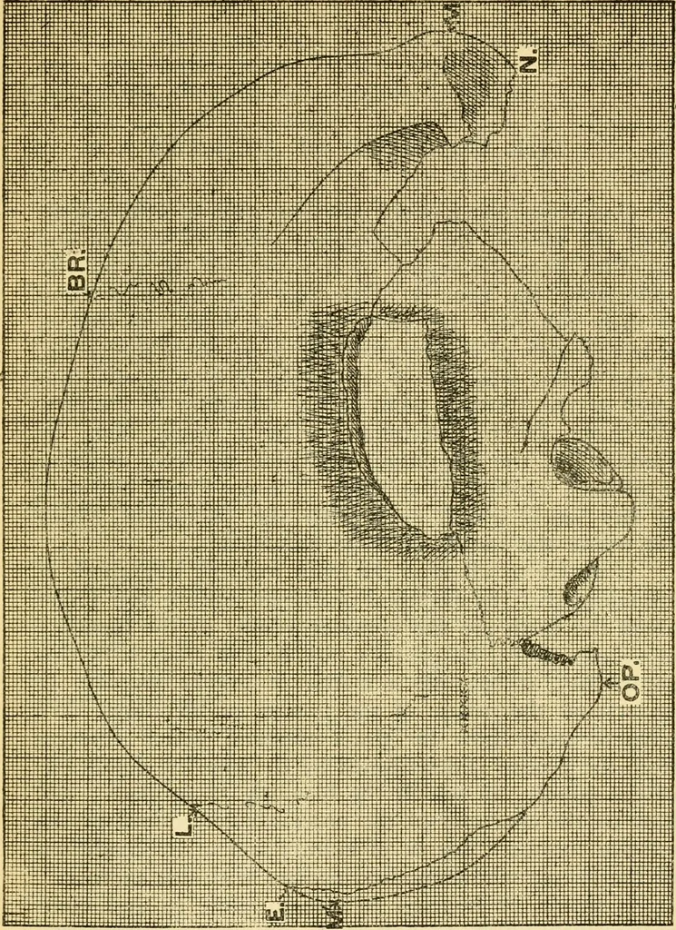 An illustration from Essays and studies presented to William Ridgeway : on his sixtieth birthday, 6 August, 1913, 1913, leaf 537