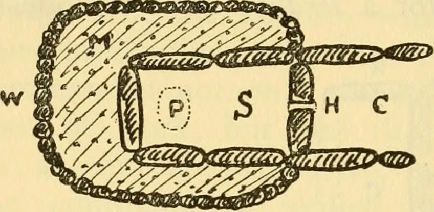 An illustration from Essays and studies presented to William Ridgeway : on his sixtieth birthday, 6 August, 1913, 1913, leaf 592