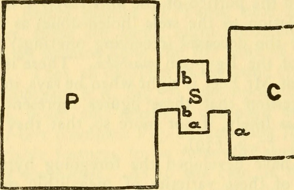 An illustration from Essays and studies presented to William Ridgeway : on his sixtieth birthday, 6 August, 1913, 1913, leaf 598