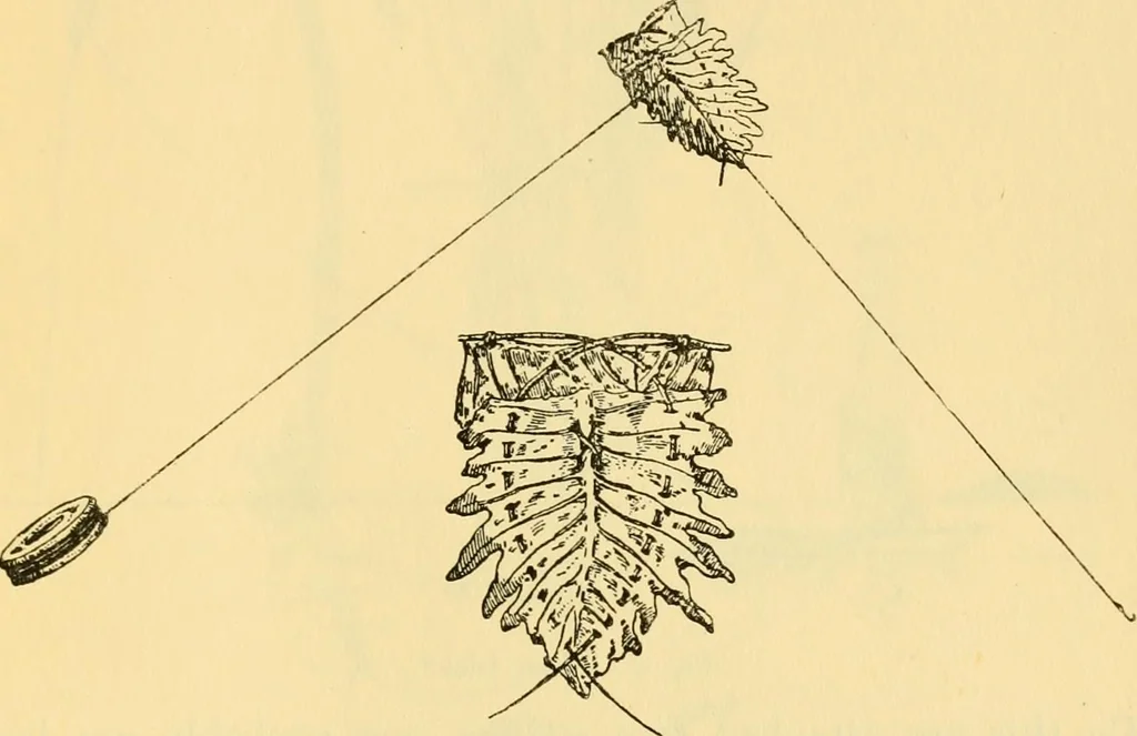 An illustration from Essays and studies presented to William Ridgeway : on his sixtieth birthday, 6 August, 1913, 1913, leaf 651