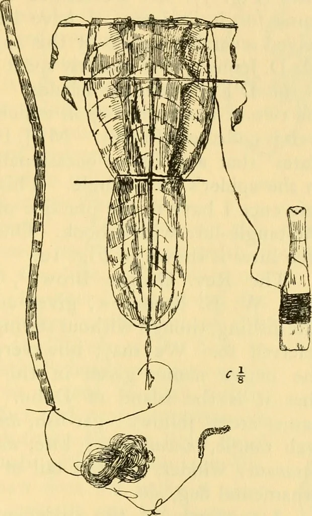 An illustration from Essays and studies presented to William Ridgeway : on his sixtieth birthday, 6 August, 1913, 1913, leaf 653