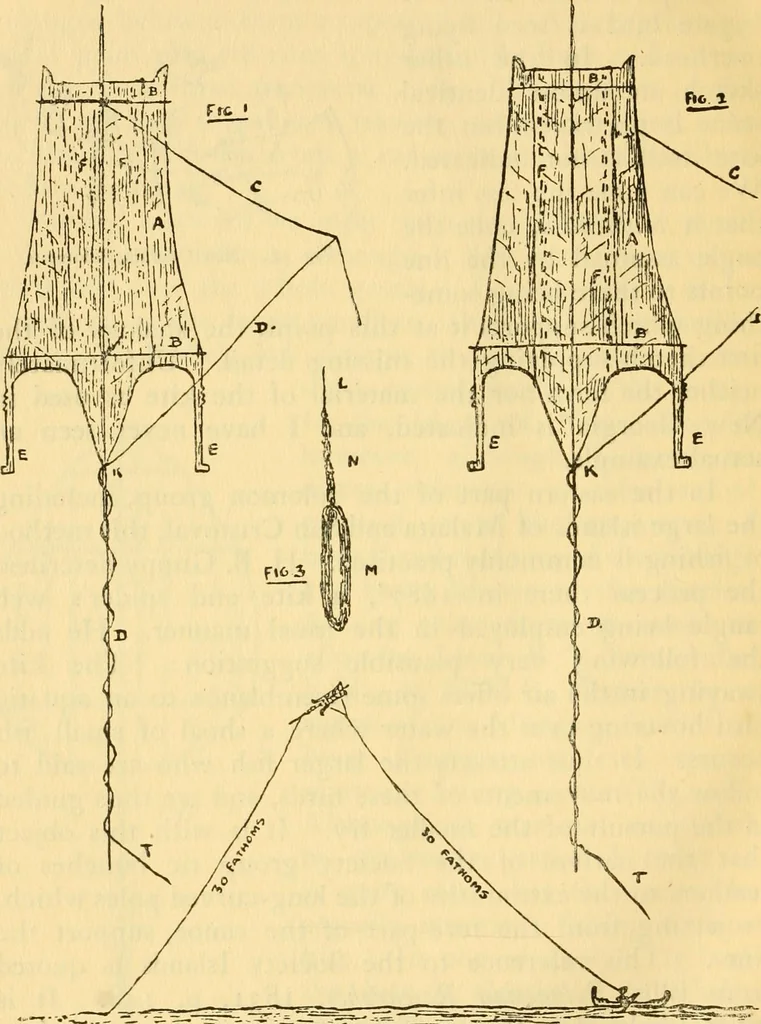 An illustration from Essays and studies presented to William Ridgeway : on his sixtieth birthday, 6 August, 1913, 1913, leaf 658