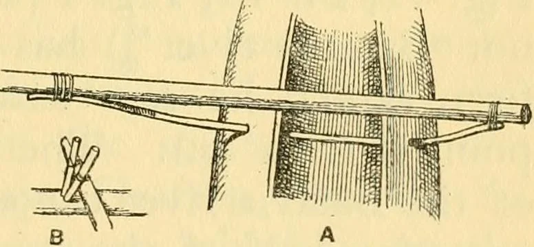 An illustration from Essays and studies presented to William Ridgeway : on his sixtieth birthday, 6 August, 1913, 1913, leaf 679