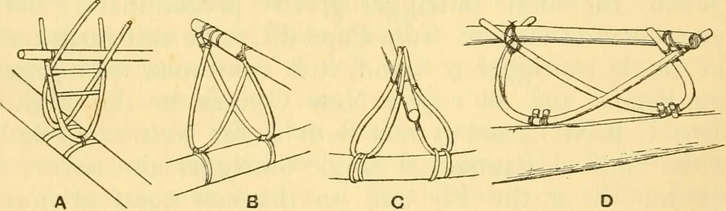 An illustration from Essays and studies presented to William Ridgeway : on his sixtieth birthday, 6 August, 1913, 1913, leaf 686