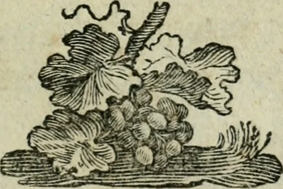 An illustration from Essays sur la recherche de la cause pour laquelle l'Estain [et] le Plomb augmentent de poids qunad on les calcine, 1777, leaf 8