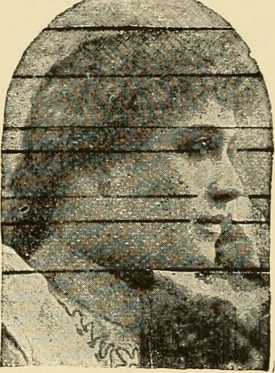 An illustration from The essentials of aesthetics in music, poetry, painting, sculpture and architecture, 1909, leaf 376