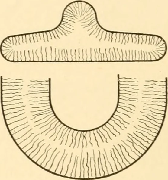 An illustration from Essentials of drafting; a text and problem book for apprentice, trade and evening technical schools, 1918, leaf 49