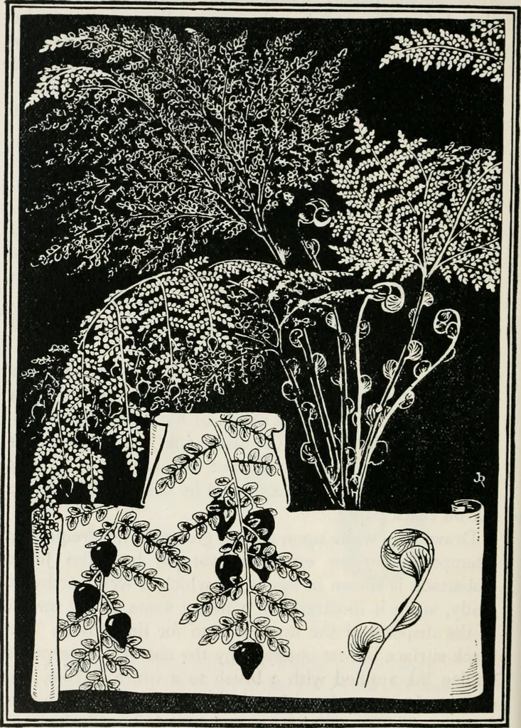 An illustration from The essentials of illustration, a practical guide to the reproduction of drawings & photographs for the use of scientists & others, 1915, leaf 103