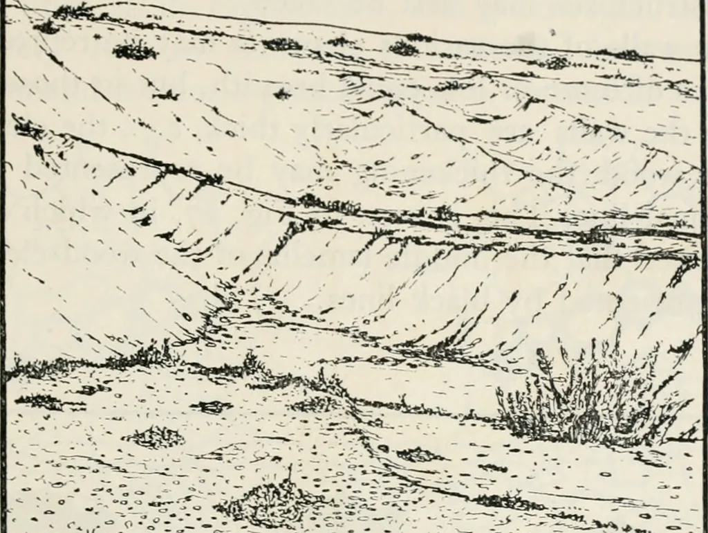 An illustration from The essentials of illustration, a practical guide to the reproduction of drawings & photographs for the use of scientists & others, 1915, leaf 110