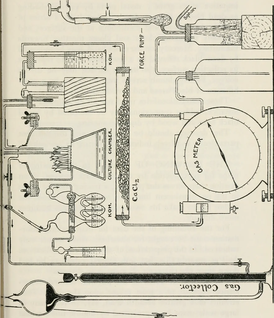 An illustration from The essentials of illustration, a practical guide to the reproduction of drawings & photographs for the use of scientists & others, 1915, leaf 118