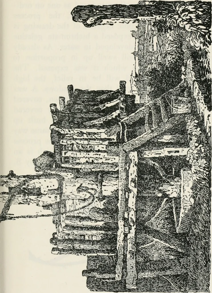 An illustration from The essentials of illustration, a practical guide to the reproduction of drawings & photographs for the use of scientists & others, 1915, leaf 128