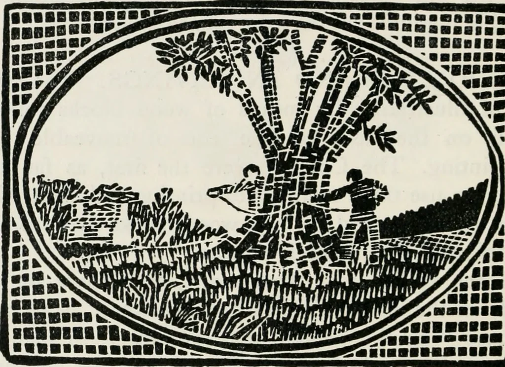 An illustration from The essentials of illustration, a practical guide to the reproduction of drawings & photographs for the use of scientists & others, 1915, leaf 63