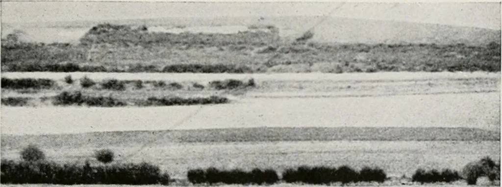 An illustration from The essentials of illustration, a practical guide to the reproduction of drawings & photographs for the use of scientists & others, 1915, leaf 74