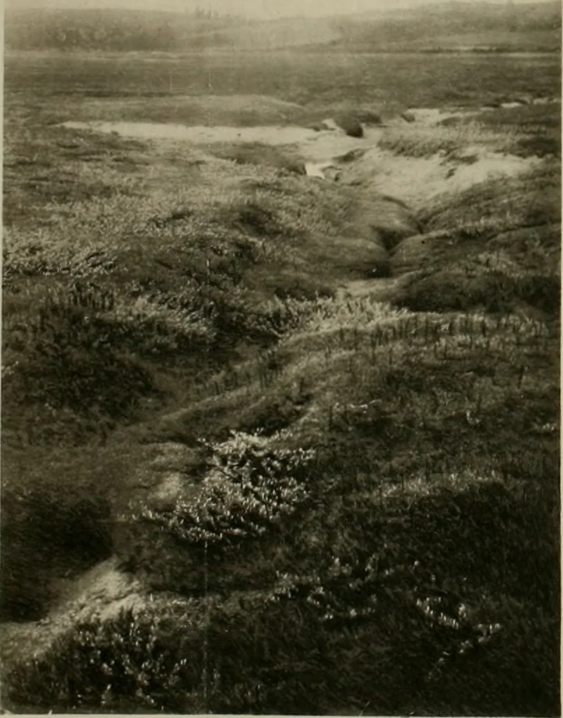 An illustration from The essentials of illustration, a practical guide to the reproduction of drawings & photographs for the use of scientists & others, 1915, leaf 79