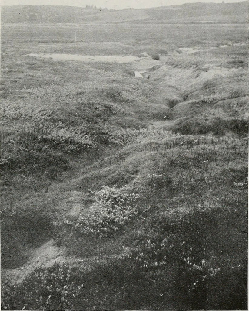 An illustration from The essentials of illustration, a practical guide to the reproduction of drawings & photographs for the use of scientists & others, 1915, leaf 80