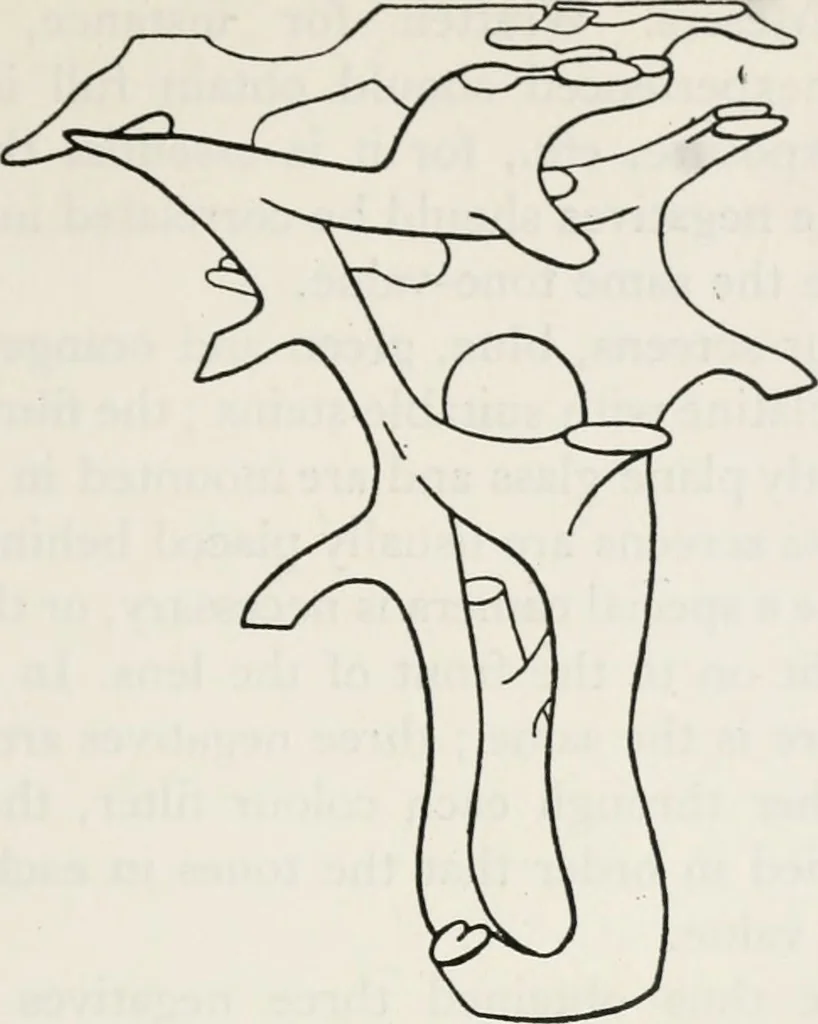 An illustration from The essentials of illustration, a practical guide to the reproduction of drawings & photographs for the use of scientists & others, 1915, leaf 88