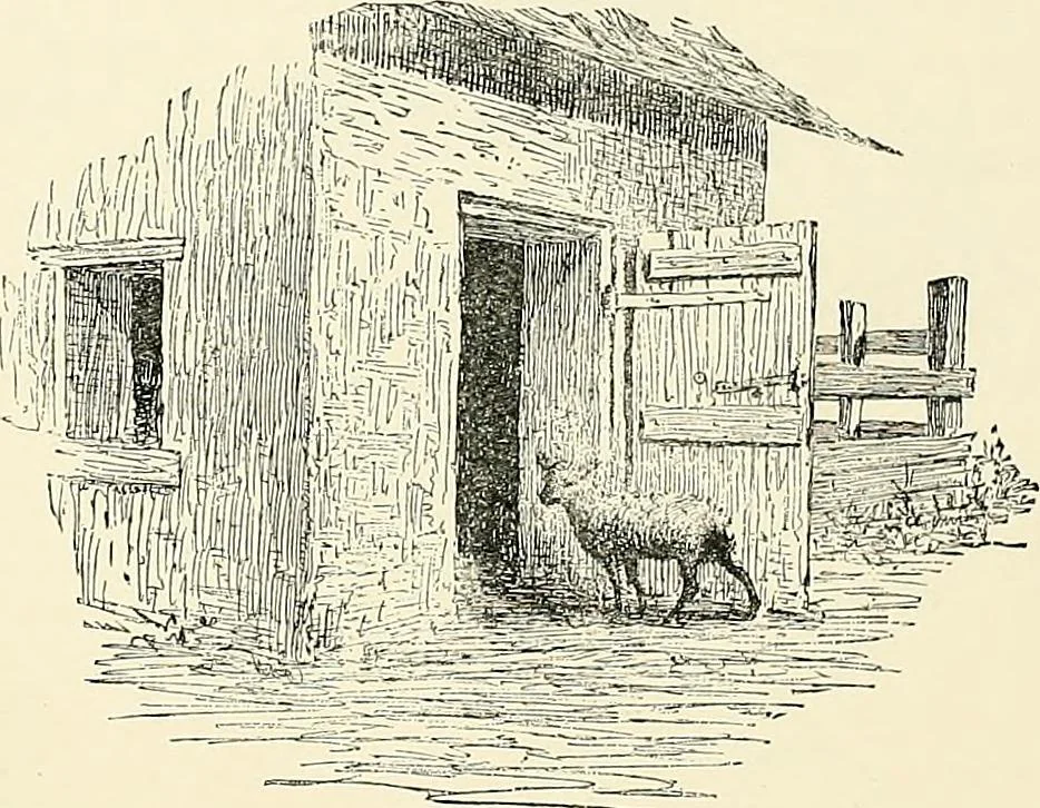 An illustration from Essentials of Perspective: With Illustrations Drawn by the Author, 1887, leaf 13