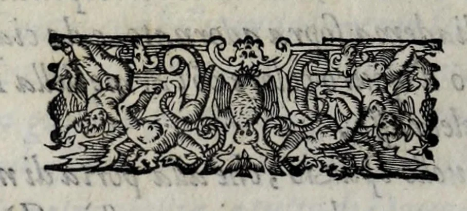 An illustration from Esseqvie della Sacra Cattolica, e Real Maesta di Margherita d'Avstria regina di Spagna : celebrate dal serenissimo don Cosimo II. gran duca di Toscana IIII, 1612, leaf 14