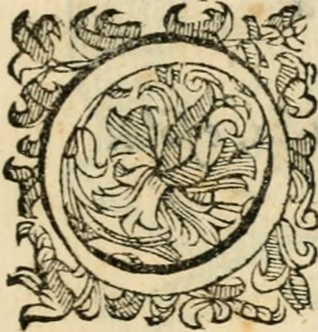 An illustration from Esseqvie dell'illvstre sig.nor Alessandro abate Pvcci : celebrate in Fiorenza con diuota pompa per l'anima sua nella chiesa della Nunziata : dalli molto reuerendi padri de Serui il dì primo di settembre, 1601, leaf 20