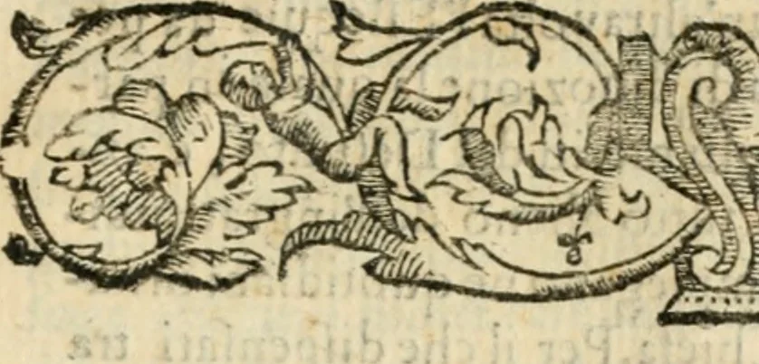 An illustration from Esseqvie dell'illvstre sig.nor Alessandro abate Pvcci : celebrate in Fiorenza con diuota pompa per l'anima sua nella chiesa della Nunziata : dalli molto reuerendi padri de Serui il dì primo di settembre, 1601, leaf 8