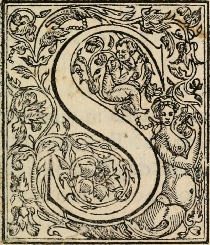 An illustration from Esseqvie del serenissimo don Francesco Medici, gran duca di Toscana II, 1587, leaf 10