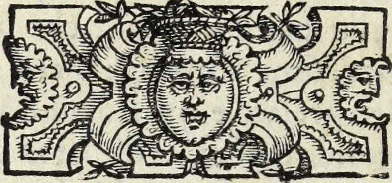 An illustration from Essercitio et ammaestramento del bvon christiano : dove si tratta de gli articoli della fede, de' diece precetti della legge, dell'Oratione, della Confessione, & della Communione, 1568, leaf 177