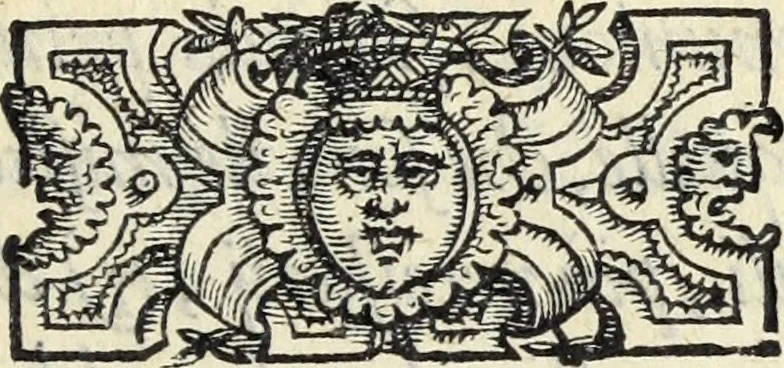 An illustration from Essercitio et ammaestramento del bvon christiano : dove si tratta de gli articoli della fede, de' diece precetti della legge, dell'Oratione, della Confessione, & della Communione, 1568, leaf 6