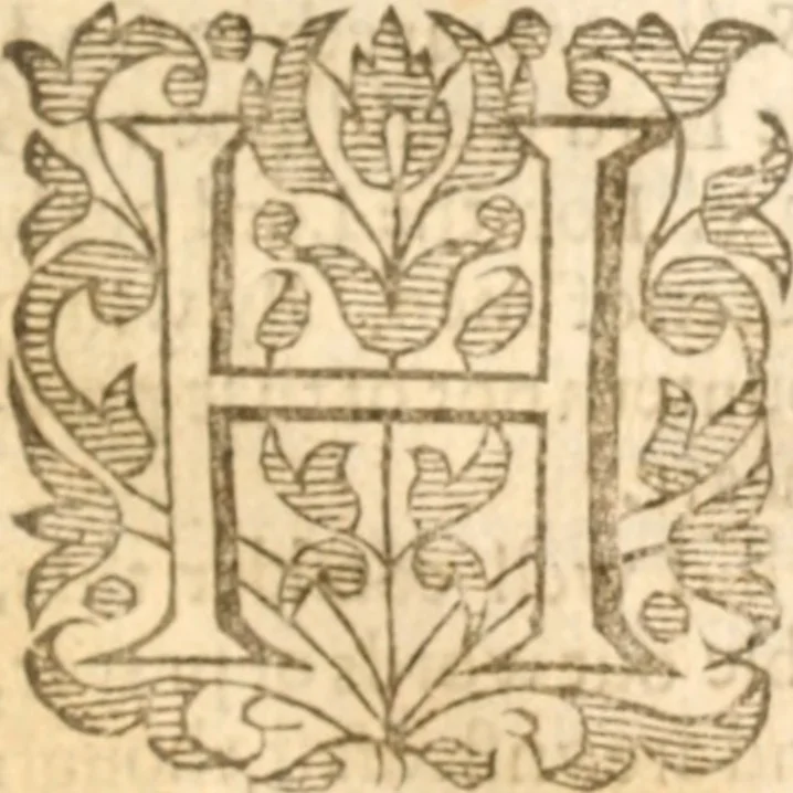 An illustration from Essex dove, presenting the world with a few of her olive branches : or, a taste of the workes of ... John Smith ... delivered in three severall treatises .., 1626, leaf 172