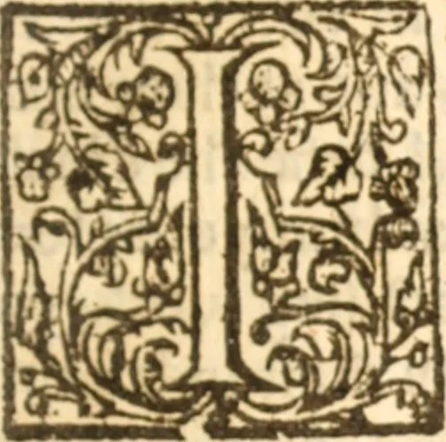 An illustration from Essex dove, presenting the world with a few of her olive branches : or, a taste of the workes of ... John Smith ... delivered in three severall treatises .., 1626, leaf 210