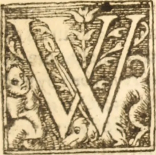 An illustration from Essex dove, presenting the world with a few of her olive branches : or, a taste of the workes of ... John Smith ... delivered in three severall treatises .., 1626, leaf 228