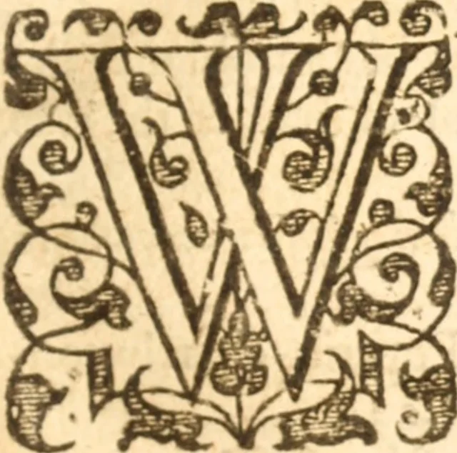 An illustration from Essex dove, presenting the world with a few of her olive branches : or, a taste of the workes of ... John Smith ... delivered in three severall treatises .., 1626, leaf 24