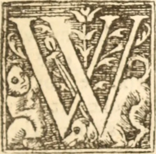 An illustration from Essex dove, presenting the world with a few of her olive branches : or, a taste of the workes of ... John Smith ... delivered in three severall treatises .., 1626, leaf 246