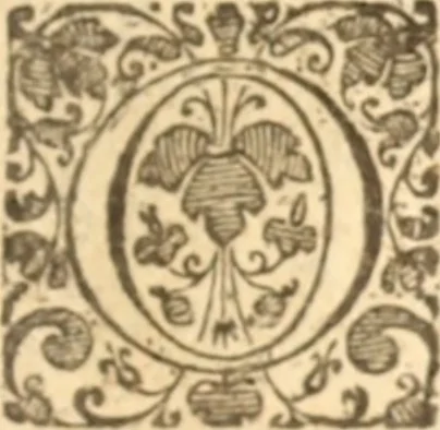 An illustration from Essex dove, presenting the world with a few of her olive branches : or, a taste of the workes of ... John Smith ... delivered in three severall treatises .., 1626, leaf 264