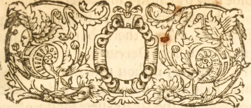 An illustration from Essex dove, presenting the world with a few of her olive branches : or, a taste of the workes of ... John Smith ... delivered in three severall treatises .., 1626, leaf 316