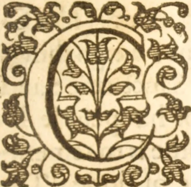 An illustration from Essex dove, presenting the world with a few of her olive branches : or, a taste of the workes of ... John Smith ... delivered in three severall treatises .., 1626, leaf 316