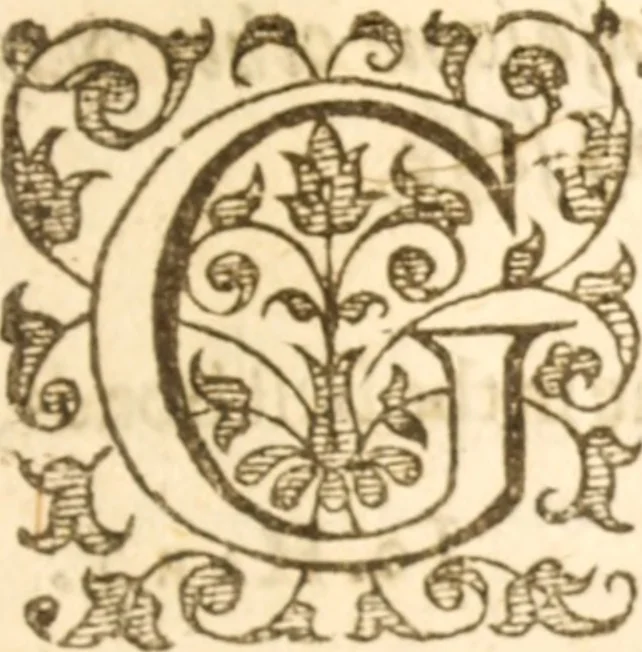 An illustration from Essex dove, presenting the world with a few of her olive branches : or, a taste of the workes of ... John Smith ... delivered in three severall treatises .., 1626, leaf 320